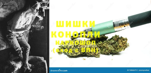 ГАЛЛЮЦИНОГЕННЫЕ ГРИБЫ Ладушкин