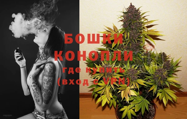 ГАЛЛЮЦИНОГЕННЫЕ ГРИБЫ Ладушкин