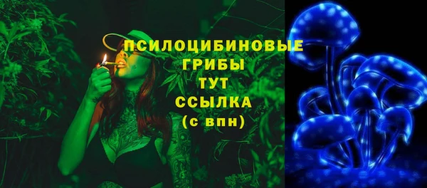 мет Кукмор