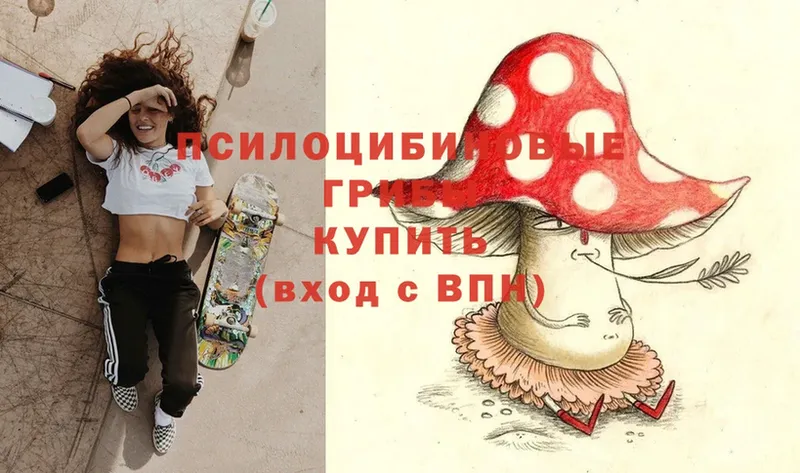 ссылка на мегу   Пермь  Галлюциногенные грибы Psilocybe 