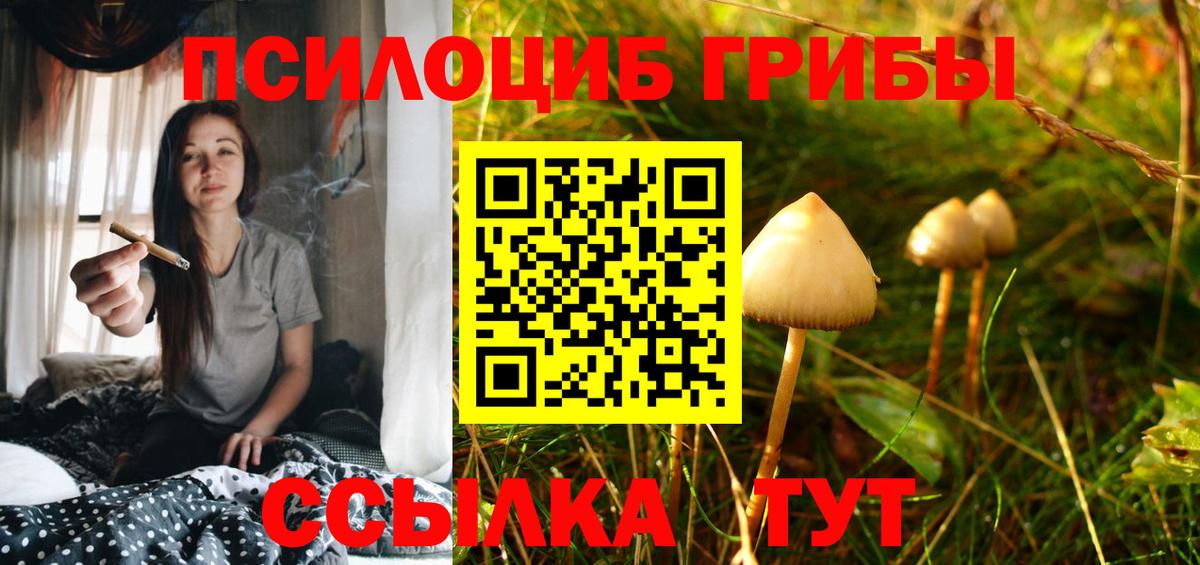 Псилоцибиновые грибы мухоморы  Пермь 