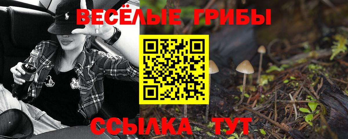 Псилоцибиновые грибы Magic Shrooms  Галлюциногенные грибы прущие грибы  купить  сайты  Вход с VPN  Пермь 