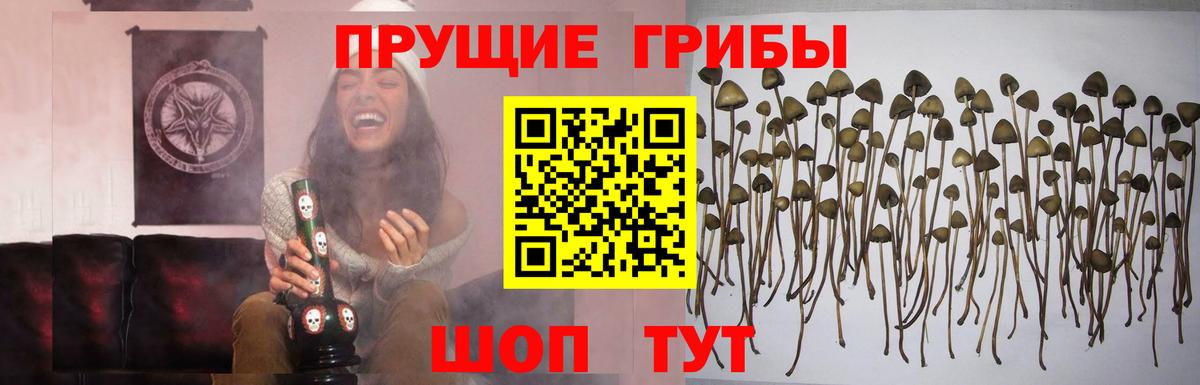 Галлюциногенные грибы MAGIC MUSHROOMS Пермь