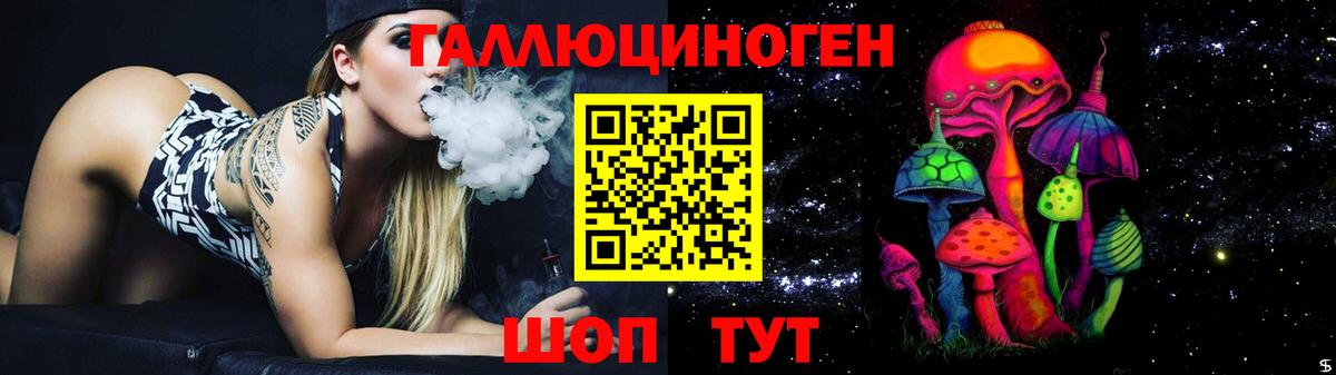 Псилоцибиновые грибы Psilocybe Пермь